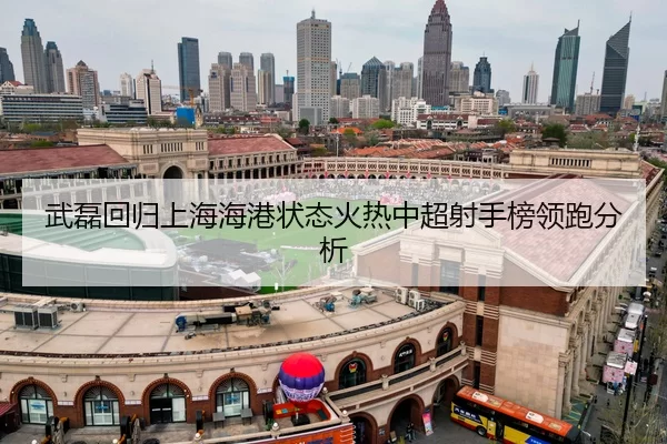 wu-lei-hui-gui-shang-hai-hai-gang-zhuang-tai-huo-re-zhong-chao-she-shou-bang-ling-pao-fen-xi-2-887.jpg