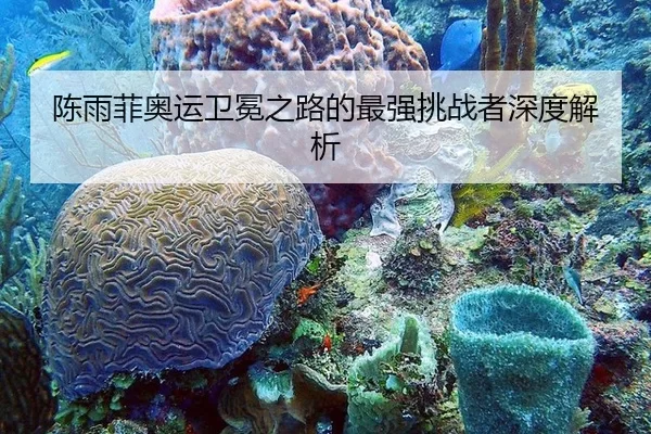 陈雨菲奥运卫冕之路的最强挑战者深度解析