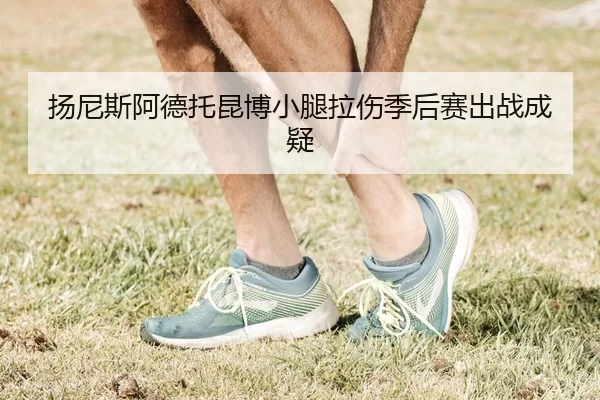 扬尼斯阿德托昆博小腿拉伤季后赛出战成疑