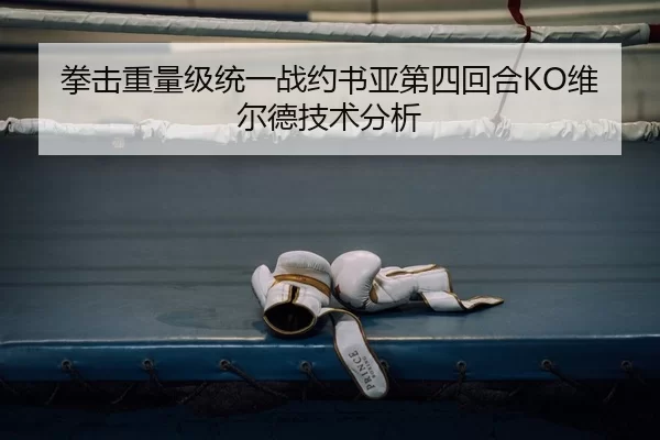 拳击重量级统一战约书亚第四回合KO维尔德技术分析