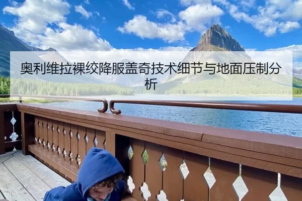 奥利维拉裸绞降服盖奇技术细节与地面压制分析