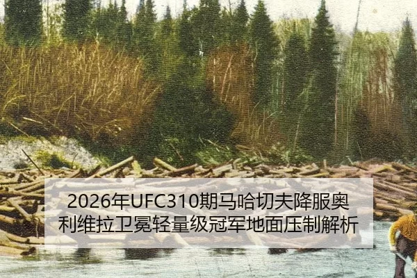 nian-qi-ma-ha-qie-fu-xiang-fu-ao-li-wei-la-wei-mian-qing-liang-ji-guan-jun-di-mian-ya-zhi-jie-xi-2-766.jpg